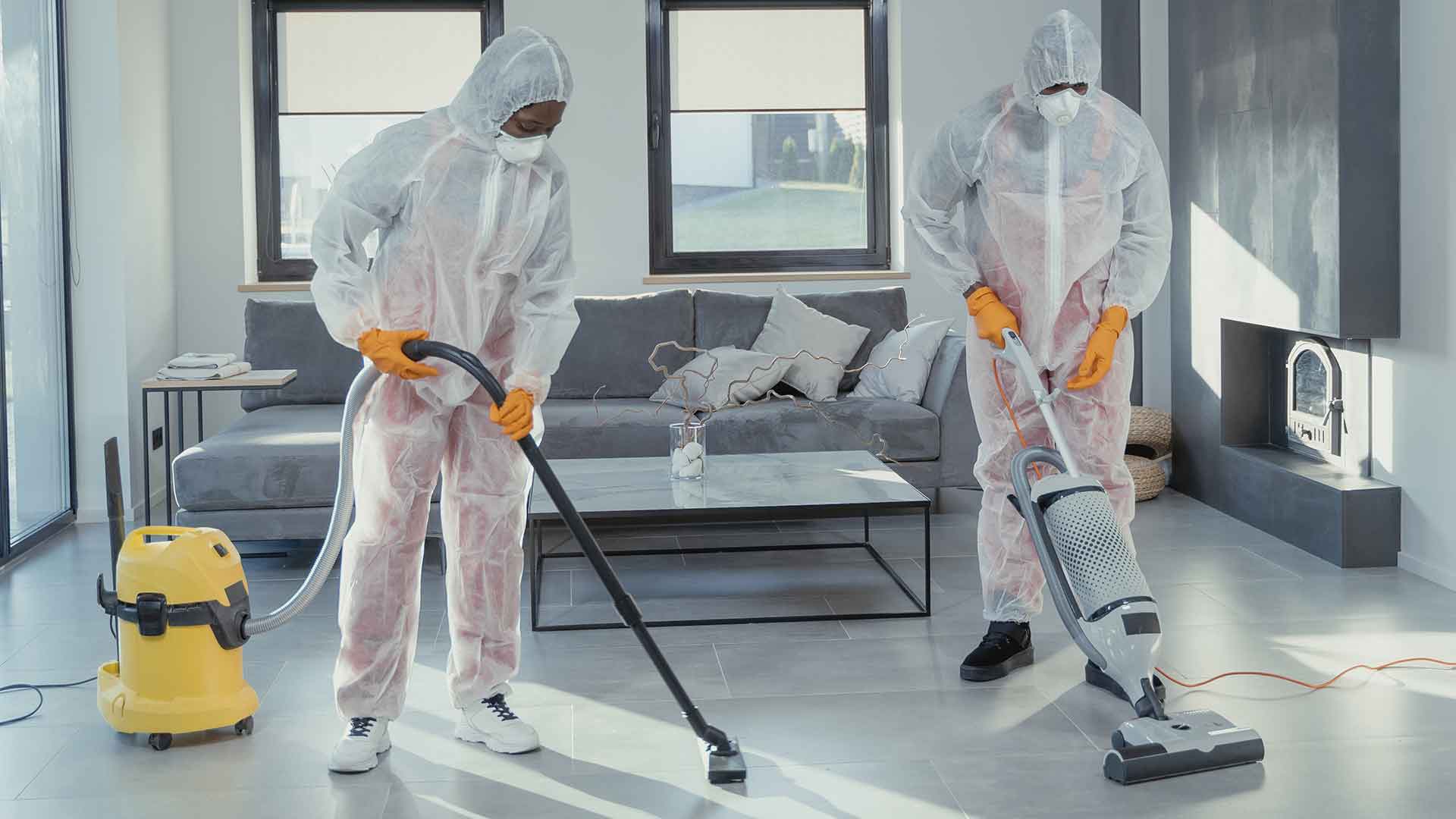 Pest Control Services