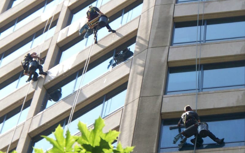 Commercial Pest Control